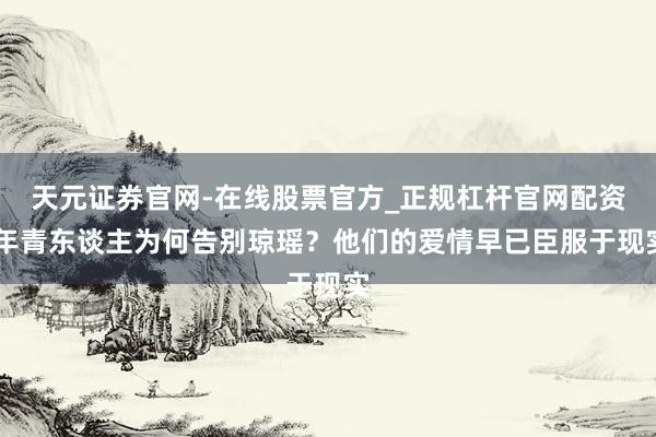 天元证券官网-在线股票官方_正规杠杆官网配资 年青东谈主为何告别琼瑶？他们的爱情早已臣服于现实
