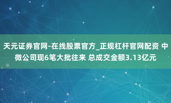 天元证券官网-在线股票官方_正规杠杆官网配资 中微公司现6笔大批往来 总成交金额3.13亿元