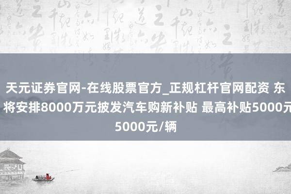 天元证券官网-在线股票官方_正规杠杆官网配资 东莞：将安排8000万元披发汽车购新补贴 最高补贴5000元/辆
