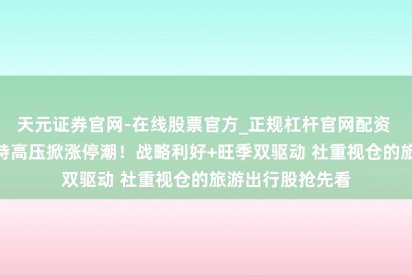 天元证券官网-在线股票官方_正规杠杆官网配资 4万亿投资引爆 特高压掀涨停潮!战略利好+旺季双驱动 社重视仓的旅游出行股抢先看