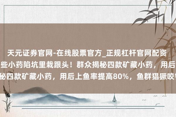 天元证券官网-在线股票官方_正规杠杆官网配资 钓鱼总空军？生人总在这些小药陷坑里栽跟头！群众揭秘四款矿藏小药，用后上鱼率提高80%，鱼群猖獗咬钩！