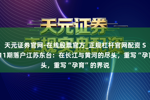 天元证券官网-在线股票官方_正规杠杆官网配资 Spark学园11期落户江苏东台:在长江与黄河的尽头,重写“孕育”的界说